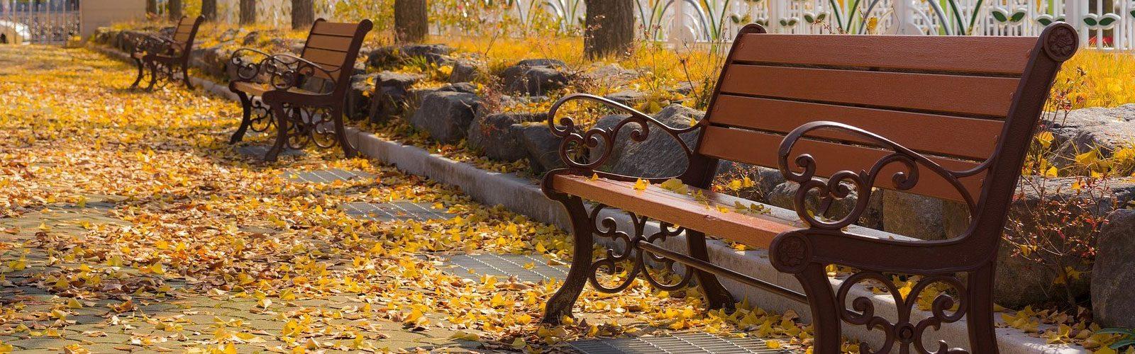 Innovative Park Building Solutions by Sarah Alimoradi